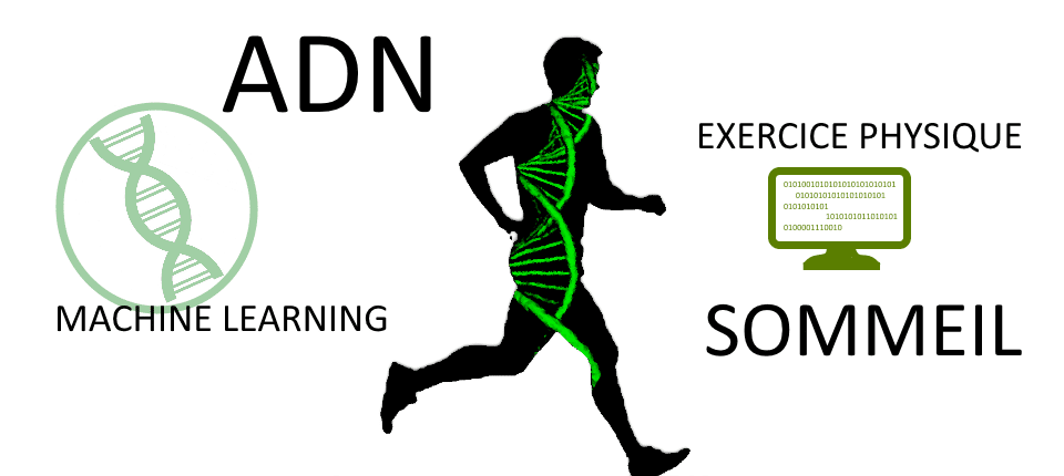 Adn, Machine learning, Exercice physique, Sommeil