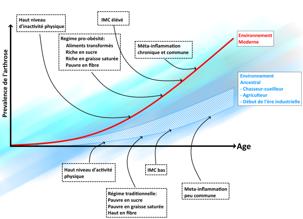 Prévalence arthrose