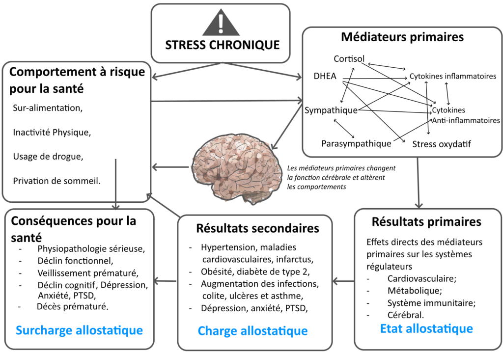 allostatique